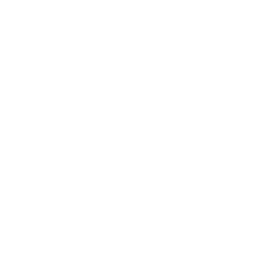 Woidfilm Studio